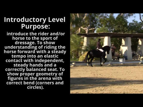 【免費運動App】OnTheLevels.com - 2015 Dressage Video Library-APP點子