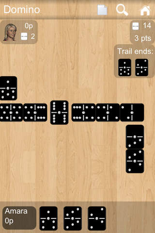 Go Domino screenshot 2