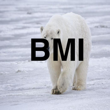 Polar BMI Lite LOGO-APP點子