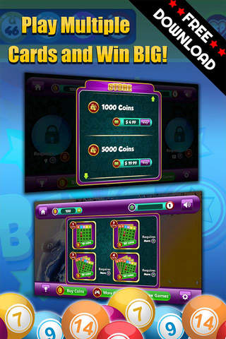 Bingo Buck - Play the Simple and Easy to Win Casino Card Game for FREE ! screenshot 3