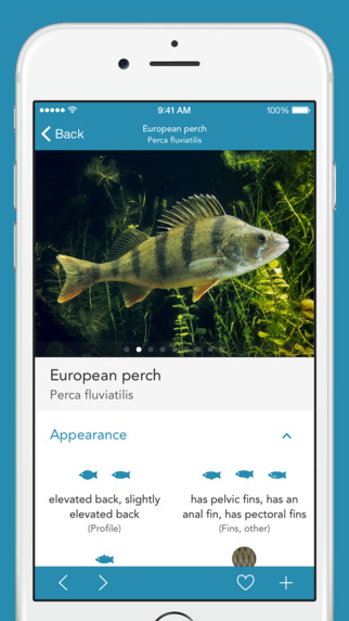 【免費書籍App】Fishes 2 PRO - The Field Guide to Central European Inland Waters, the Baltic Sea and the North Sea-APP點子