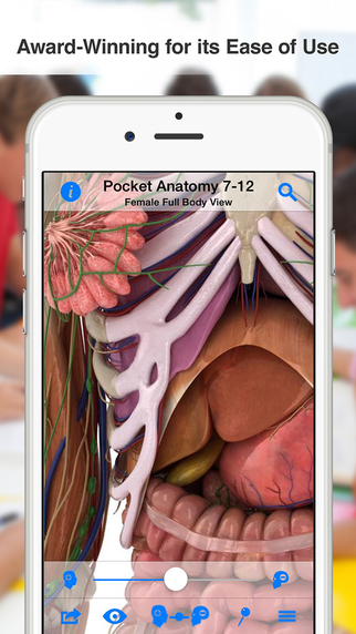 【免費教育App】High School Anatomy-APP點子