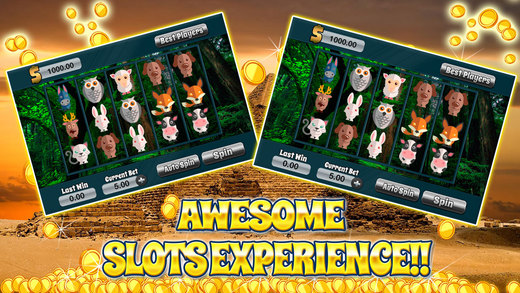 Aaaaaah Ace Animals Forest Slot - Free Slot Game