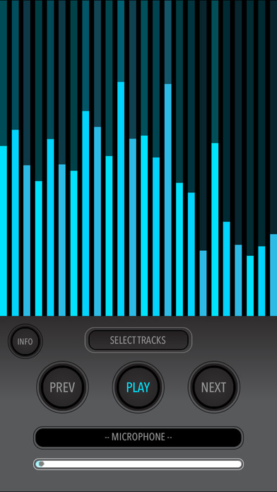 iPhone Screenshot 1