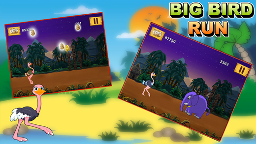 【免費遊戲App】Big Bird Run - Ostrich's Crazy Jungle Splash (Free Game)-APP點子