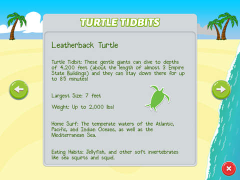 Turtle Sprint screenshot 3