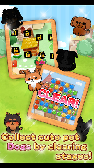 【免費遊戲App】Cute Dog's Life-APP點子