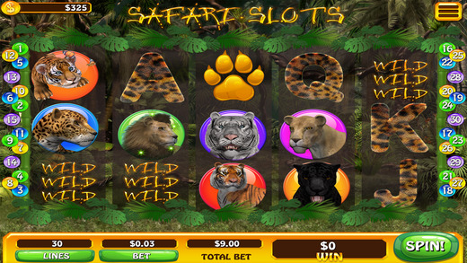 Safari Cats Slot Machine