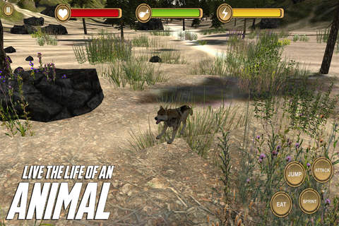 Gray Wolf Simulator - HD screenshot 2