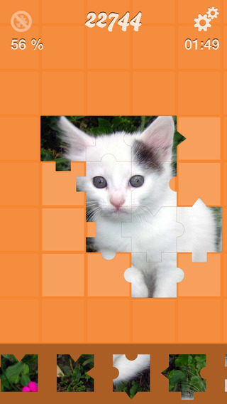 Jigsaw Puzzle: Cat and Dog