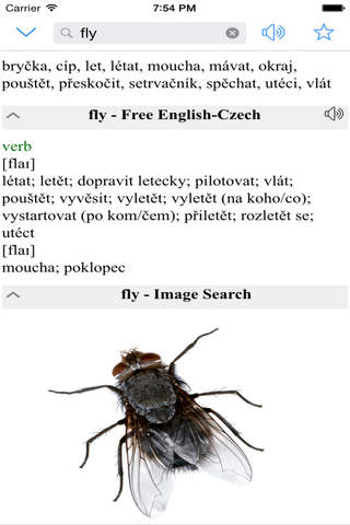Czech-English Dictionary Box + Translator / Angličtina-český slovník a Překladatel screenshot 2