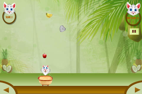 Fruit Collection Saga screenshot 2
