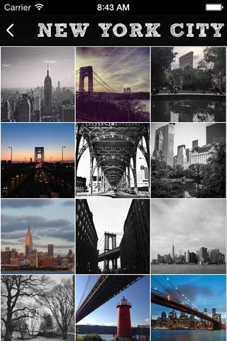 SEE NYC screenshot 3