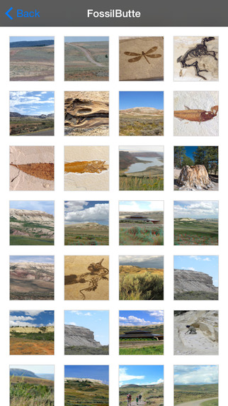 【免費交通運輸App】Fossil Butte National Park - USA-APP點子