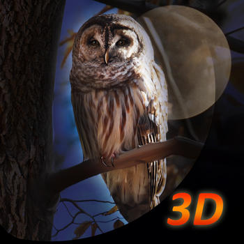 Owl Bird Survival Simulator 3D Free 遊戲 App LOGO-APP開箱王