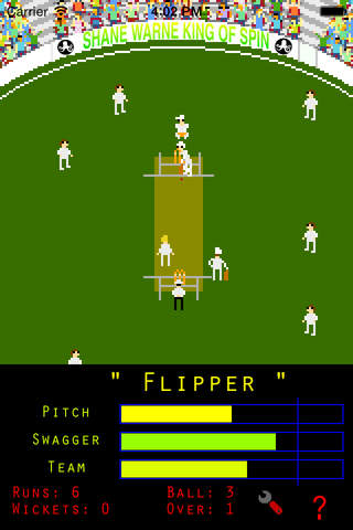 Shane Warne King of Spin Cricket - Mini Bowling screenshot 2