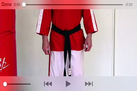 Purple/White Belt Kick Jutsu screenshot 2