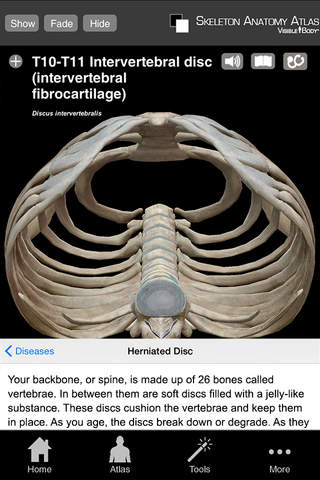 Skeleton Anatomy Atlas: Essential Reference screenshot 2