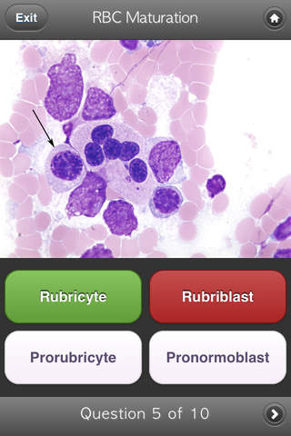 BYU Hematology screenshot 2