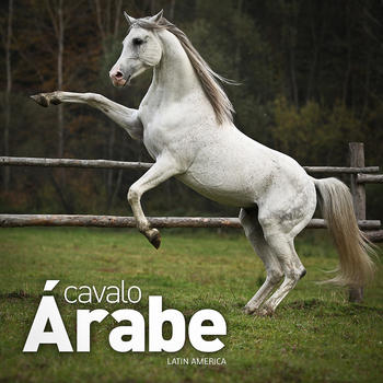 Cavalo Árabe LOGO-APP點子