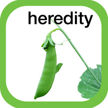 Heredity LOGO-APP點子