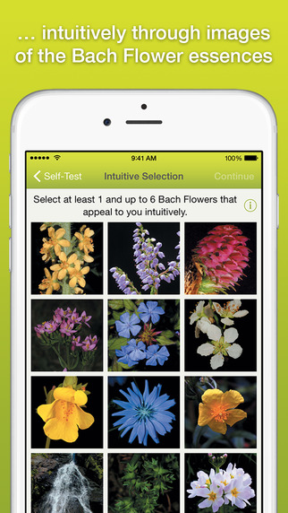 【免費醫療App】Bach Flower LP-APP點子