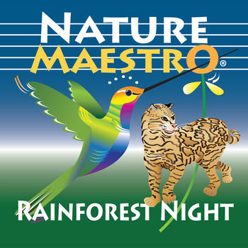 Nature Maestro Rainforest Night LOGO-APP點子