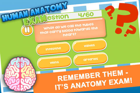 Human Anatomy Exam screenshot 3