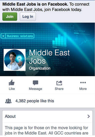 Middle East Jobs screenshot 3