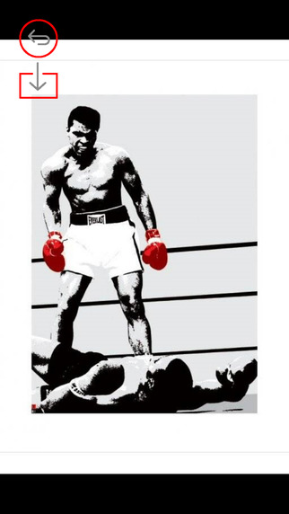 免費下載運動APP|Boxing Wallpapers HD: Best Sports Theme Artworks Collection app開箱文|APP開箱王