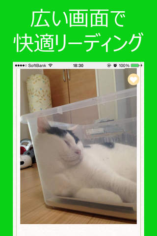 もふもふにゃんこ - かわいい猫で癒される、ねこ好き必携のアプリ screenshot 2