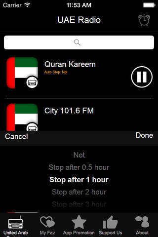 UAE Radio screenshot 3