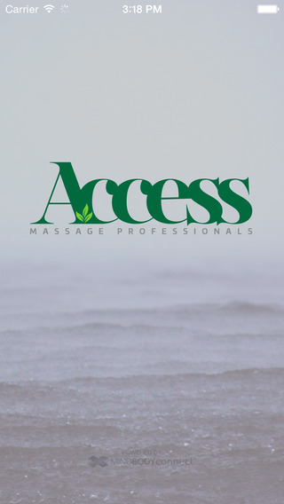 Access Massage Professional
