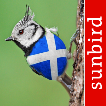 All Birds Scotland - A Complete Fieldguide to the Official List of Scottish Bird Species LOGO-APP點子