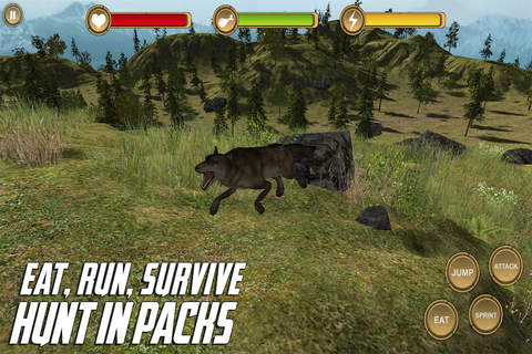Black Wolf Simulator HD Animal Life screenshot 2