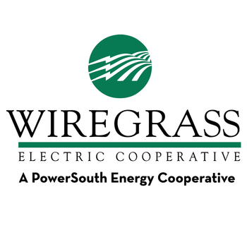 Wiregrass Electric Mobile LOGO-APP點子