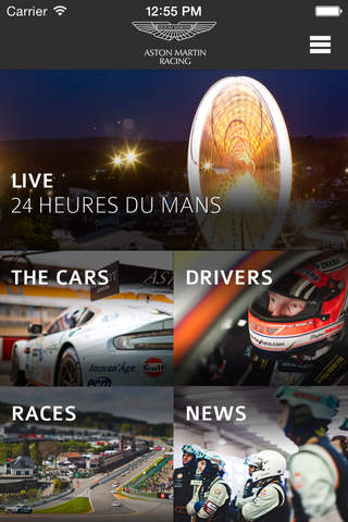 Aston Martin Racing screenshot 2