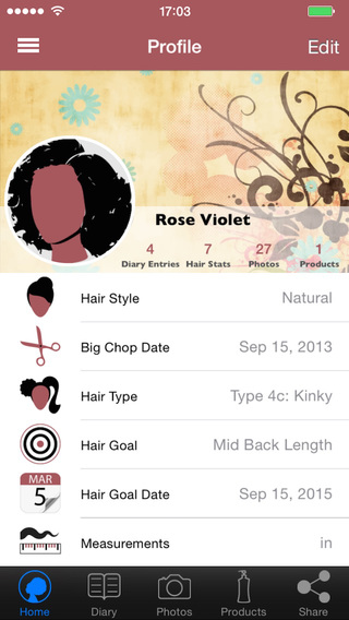 Hair Journal Pro