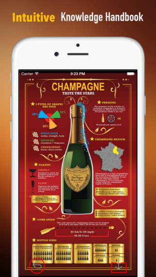 Champagne 101: Quick Study Reference with Video Lessons and Tasting Guide