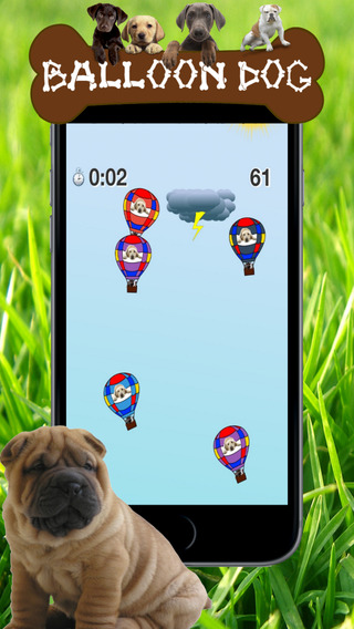 免費下載遊戲APP|Dog series: Balloon Dog app開箱文|APP開箱王