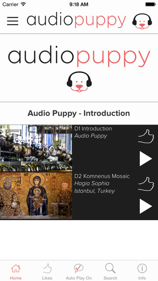 Audio Puppy