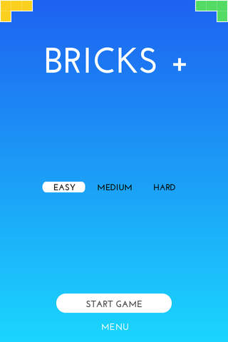 Bricks + screenshot 4