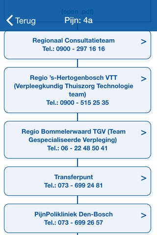 Palliatieve Zorg - Regionale samenwerkingsafspraken palliatieve zorg ’s-Hertogenbosch-Bommelerwaard en Oss-Uden-Veghel screenshot 2