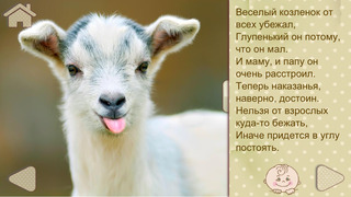 Развивайка - добрые развивающие игры для детей: слова, фотографии, загадки, стихи, рисование! Развивайка - добрые развивающие игры для детей: слова, фотографии, загадки, стихи, рисование!