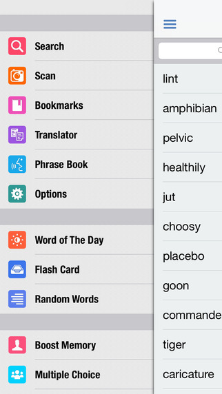 Czech Dictionary Translator Phrase Book