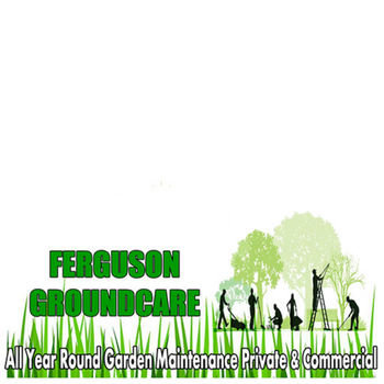 Ferguson Groundcare LOGO-APP點子