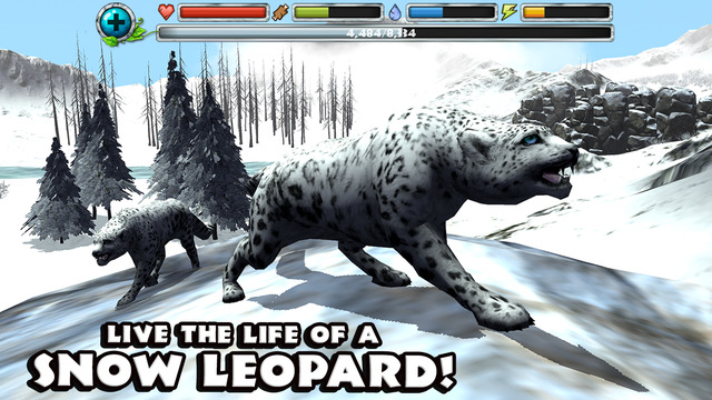 Snow Leopard Simulator