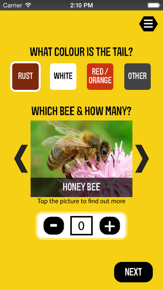 【免費教育App】Great British Bee Count-APP點子