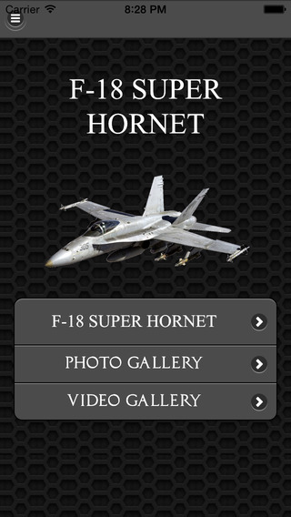 F-18 Super Hornet FREE