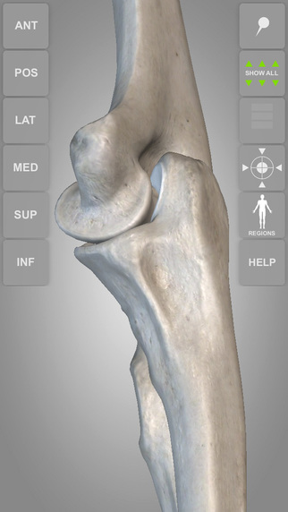 【免費醫療App】Skeletal System 3D Atlas of Anatomy Lite-APP點子